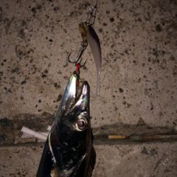 カラーチェンジが大事です