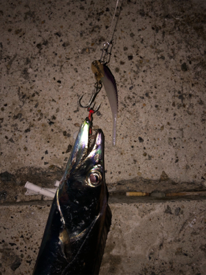 カラーチェンジが大事です