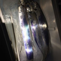 アタリは多いが、、、