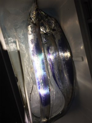 アタリは多いが、、、