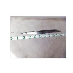 ドラゴンハンター