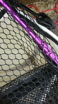 食いの渋い中、モンスターでハマチ炸裂！