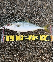 ラスト1投やり直し3回目!