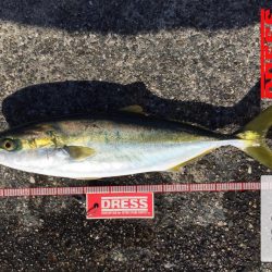 小潮の方が、、