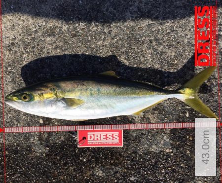 小潮の方が、、