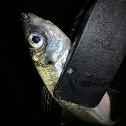 アーバンサイドアジング