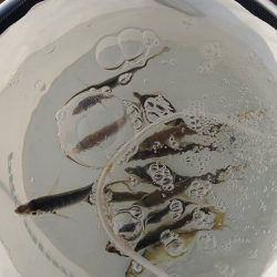 なんとか来たよ