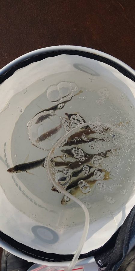 なんとか来たよ