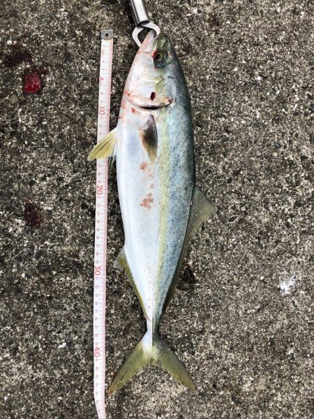 小潮なのに活性高っ!!