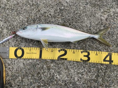 2日連続で淡路島釣行！！