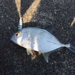 河口でのメッキゲーム