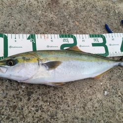 ナイスフィッシュ！