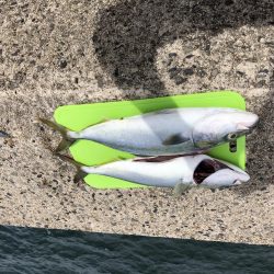 ショアジギング