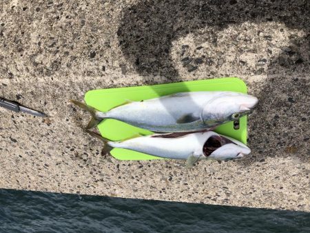 ショアジギング