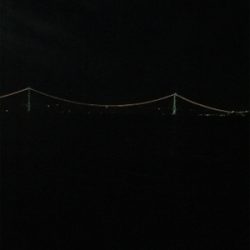 寒い、渋い、秋エギング終盤