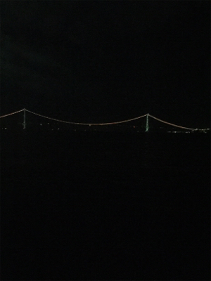 寒い、渋い、秋エギング終盤