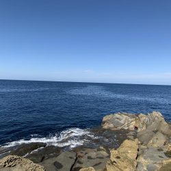 ショアプラッキング