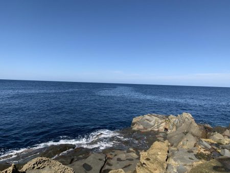 ショアプラッキング