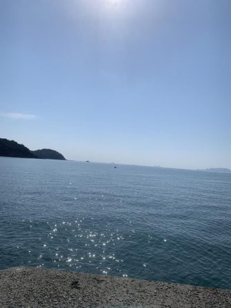 ニシン！？？ルアーに好反応！