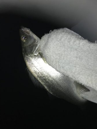 メッキはどこへ？