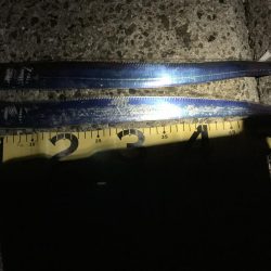 お久しぶりです。タチウオさん！！