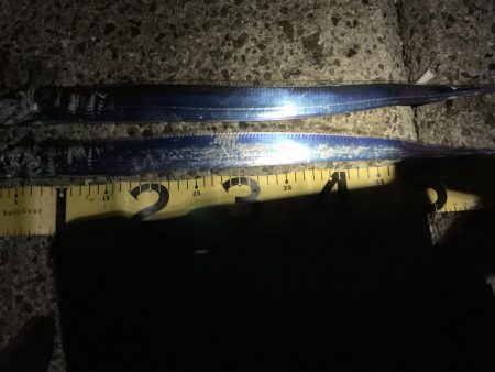 お久しぶりです。タチウオさん！！