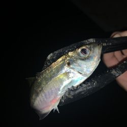 アーバンサイドアジング