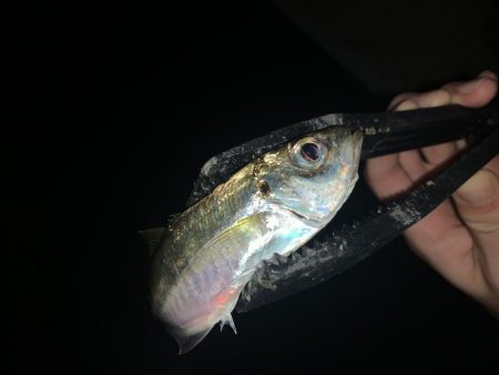 アーバンサイドアジング