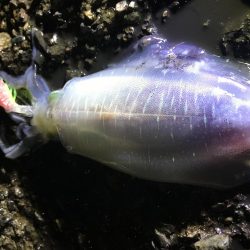 小雨の中４００とどかず