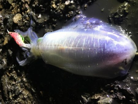 小雨の中４００とどかず