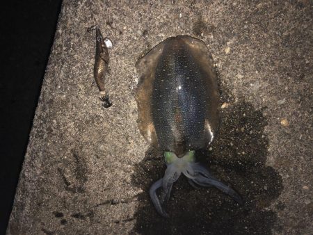 久しぶりに四杯