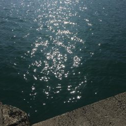 釣り師蒼君やらかしました。（笑）