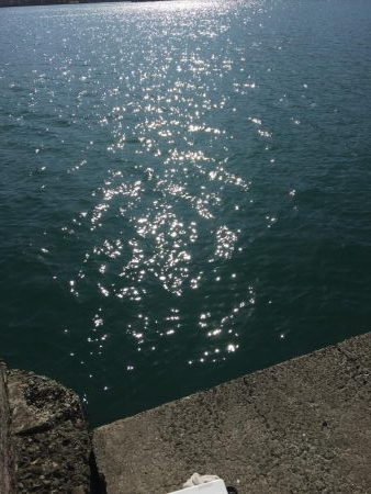 釣り師蒼君やらかしました。（笑）