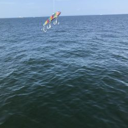 久しぶりの渡船