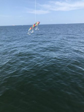 久しぶりの渡船