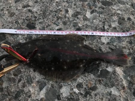 積丹青物、平物釣行!その結果は?