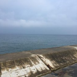 小雨の中ツバス爆釣！