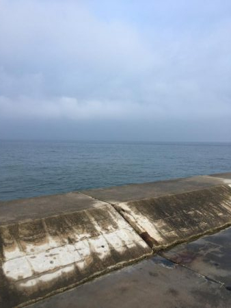 小雨の中ツバス爆釣！