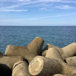 秋の堤防フカセ釣行