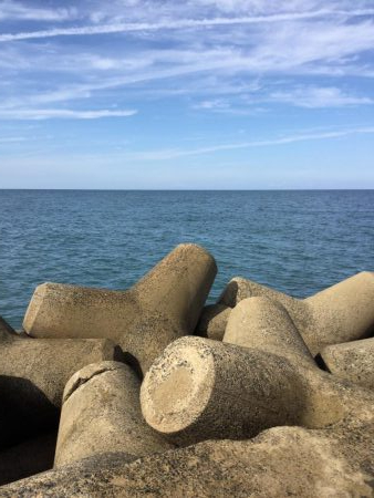 秋の堤防フカセ釣行