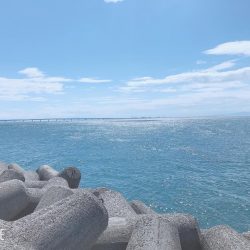 これからがシーズン