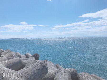 これからがシーズン