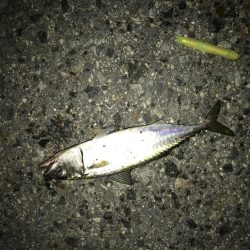 リベンジとは。