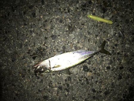 リベンジとは。