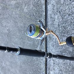 一投目!価値あるタッチー