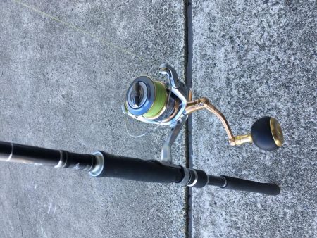 一投目!価値あるタッチー