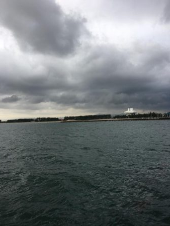 ドラゴン登場！！！