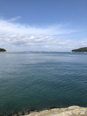 ライトショアジギング