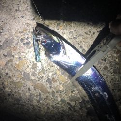 タチウオ釣行！