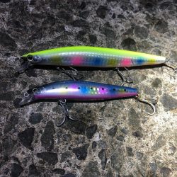 シーバス狙いでカマス